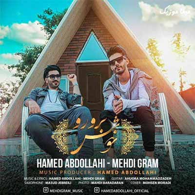دانلود آهنگ دیوانه شوم از رخ زیبای تو بانو حامد عبدالهی و مهدی گرام
