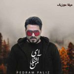 دانلود ریمیکس پدرام پالیز ای آشنای من ای تو دوای من