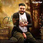 دانلود آهنگ امیرحسین افتخاری چیطو پی تو نگردوم عزیزوم چیطو دق نکنوم