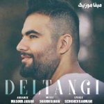 دانلود اهنگ دلتنگی یعنی تو یعنی من
