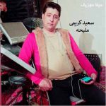 دانلود آهنگ سعید کریمی ملیحه
