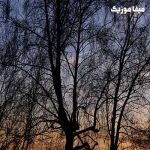 دانلود اهنگ ترکی اخ نقدر چکر غمی کاپیتان باتیریب