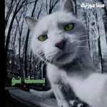 دانلود رپ عربی شاهين و سامر بستك نو دانلود رپ عربی شاهين و سامر بستك نو