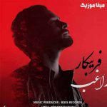 دانلود اهنگ کاش نمیدیدم آن چشمان فریبکارت را راغب دانلود اهنگ کاش نمیدیدم آن چشمان فریبکارت را راغب