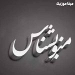 دانلود آهنگ منو بشناس از چهل خواننده ایرانی