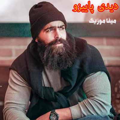 دانلود آهنگ معین زد دیدی پاییزو