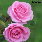 دانلود آهنگ تو که چشمات خیلی قشنگه