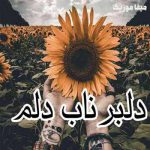دانلود اهنگ دلبر ناب دلم
