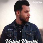 دانلود آهنگ لری تو ز قلب پاک مو خبر نداشتی به مین عشق و عاشقی وفا نداشتی وحید خدری