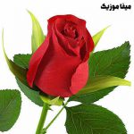 اهنگ اون اگه دلش تنگ شد بهش نگید از من با صدای دختر