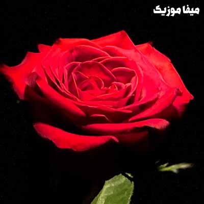 دانلود آهنگ خودم تنها تنها دلم