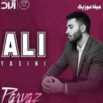 دانلود اهنگ علی یاسینی پرواز ریمیکس