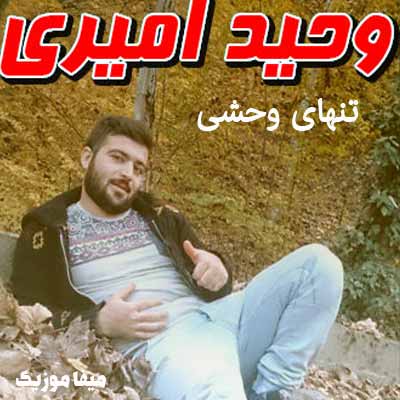 دانلود آهنگ مازندرون شهر به شهر خبر هادین وحید امیری