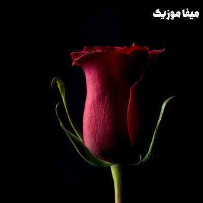دانلود اهنگ الهی شهر عشق اتیش بگیره