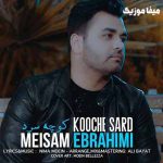 دانلود آهنگ بیای گرمم کنی منو سرگرم کنی از کوچه ها جمعم کنی