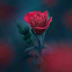 دانلود آهنگ آذری اولویه نمازوا بنام Biri Var