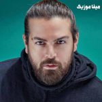 دانلود آهنگ عماد طالب زاده پرنده بی آب و دونه بود یکی اومد بالشو گرفت