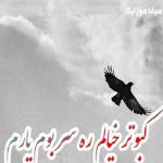 دانلود آهنگ ماکان شجاعت کبوتر خیالم