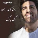 دانلود آهنگ رضا ملک زاده ببین که رگ به رگ شده تمام قلبم از غمت دیوانه