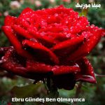 دانلود ریمیکس ترکی سورا ایسکندرلی کندیرما Kandırma