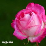 دانلود اهنگ آذری نگار محرم د نیا De Niye
