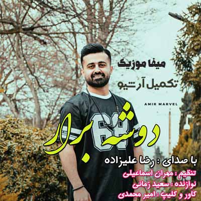 دانلود آهنگ رضا علیزاده دوشه برار