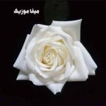 دانلود اهنگ آذری غمگین ناهیده باباشلی گده گندلریم