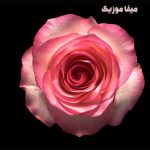 دانلود ریمیکس ابرو یاشار گل ده سومه Gelde Sevme