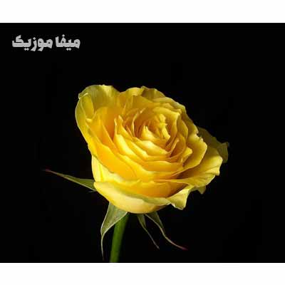 دانلود ریمیکس آیتن رسول سندن سورا