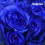 دانلود ریمیکس عایشه گول جوشکن ریحان