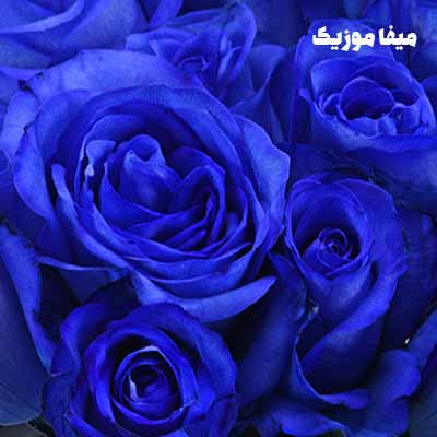 دانلود ریمیکس عایشه گول جوشکن ریحان