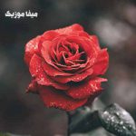 دانلود اهنگ آذری تویچه هاشیم اوغلو Ben Artık Yokum