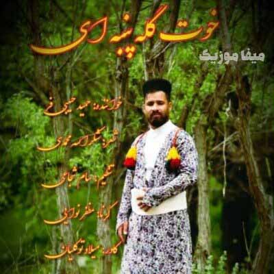 دانلود آهنگ خوت گل پنبه ای حمید حبیبی فر