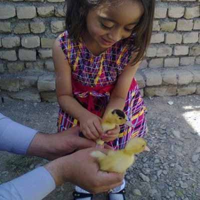 دانلود آهنگ کودکانه حیف که تموم شد امسال
