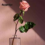 دانلود اهنگ ترکی عایشه گول جوشکن ریحان