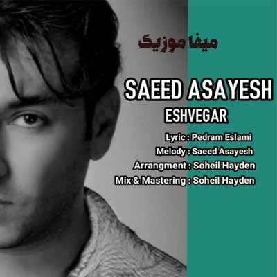 دانلود آهنگ وای که از دلبری هیچ نداری تو کم سعید آسایش