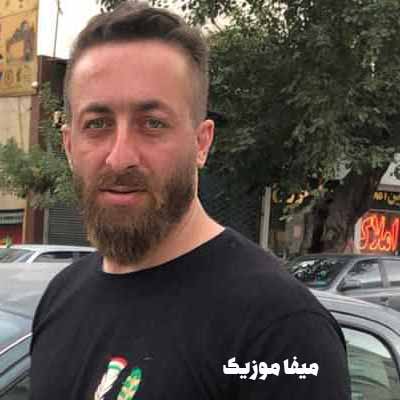 دانلود آهنگ ناصر عباسی دلتنگ خودم