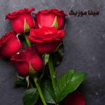 دانلود اهنگ ترکی طوبی یورت بنام Kahpe Diller