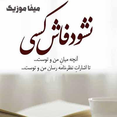 دانلود اهنگ نشود فاش کسي آنچه ميان من و توست
