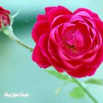 دانلود آهنگ آزار آزار دیدی آزار بیزی آییردی مردم آزار