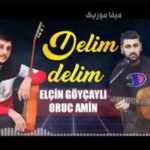 دانلود آهنگ آذری دلیم دلیم الچین گویجیلی