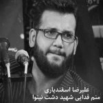 دانلود نوحه علیرضا اسفندیاری منم فدایی شهید دشت نینوا