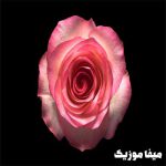 دانلود اهنگ ترکی الیف کایا Sukur