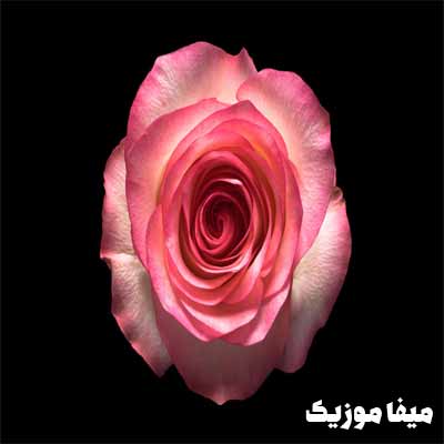 دانلود اهنگ ترکی الیف کایا Sukur 