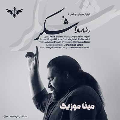 دانلود آهنگ شکر واسه هرچی که دادی هرچی ندادی رضا صادقی