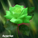 دانلود آهنگ ترکی حادیثه Sen Hic Yorulma دانلود آهنگ ترکی حادیثه Sen Hic Yorulma