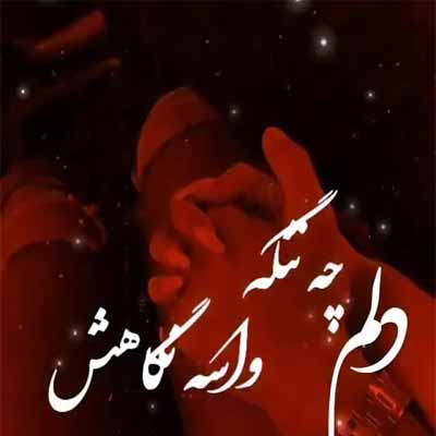 آهنگ نیومدی یارم سر قرارش دلم دوباره شده بی قرارش