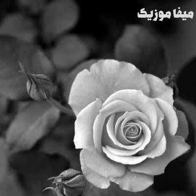 دانلود آهنگ ترکی آینور آیدین Bana Aşk Ver