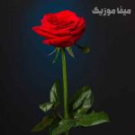 دانلود اهنگ ترکی ابرو گوندش سن سیزم