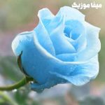 دانلود آهنگ فریده حیلال آکین Mesafe